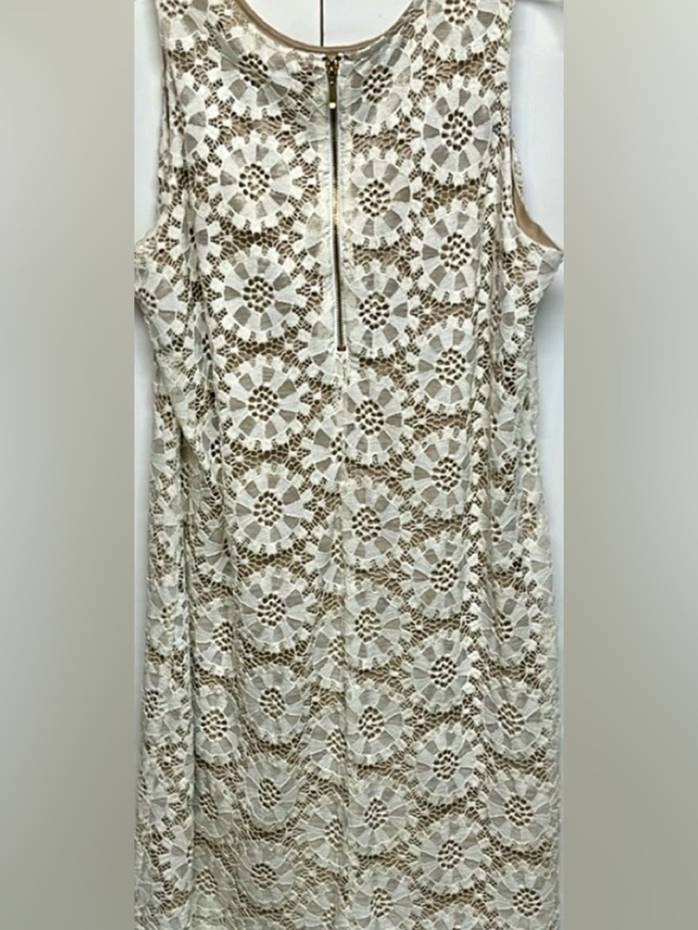 Ronni Nicole Lace Overlay Dress Cream Tan Sleeveless Sheath Timeless Formal - Picture 4 of 10